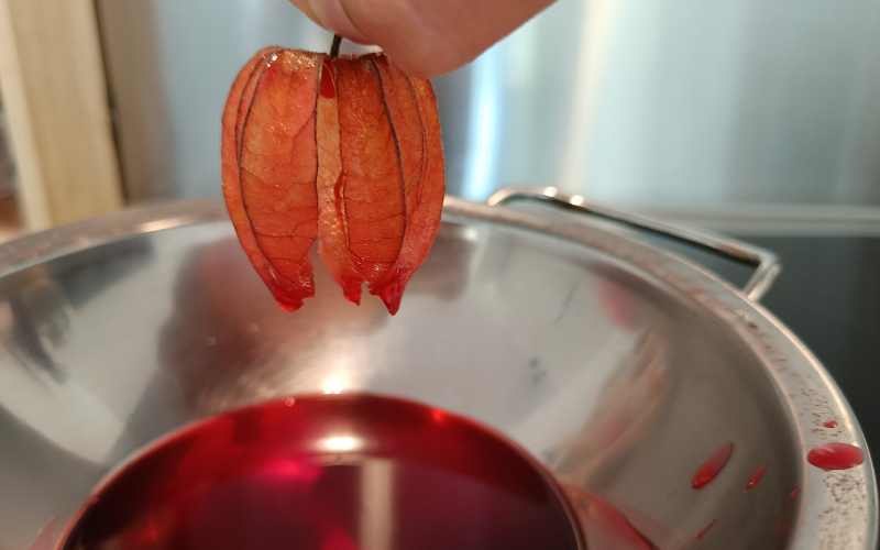 Close up of hand holding a physalis that's just been dipped in liquid wax, liquid wax is visible below the physalis. Can still see the ends of the physalis drip wax down. 