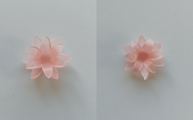 2 photos side by side. 2 pink sheet wax flowers layered on top of each other. Left flower the petals are gently folded up and back, right photo the petals are bend up more and back