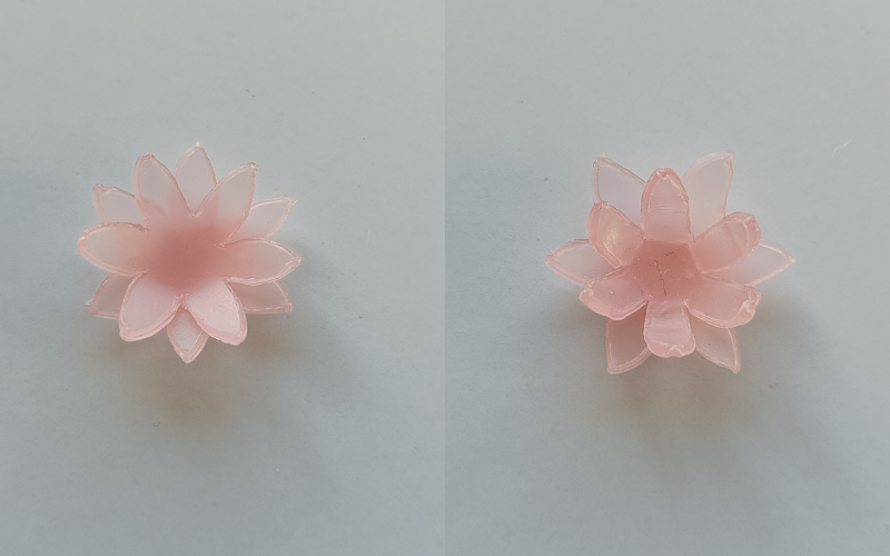 2 photos side by side. 2 pink sheet wax flowers layered on top of each other. Left flower the petals are gently folded up, right photo the petals are bend up more